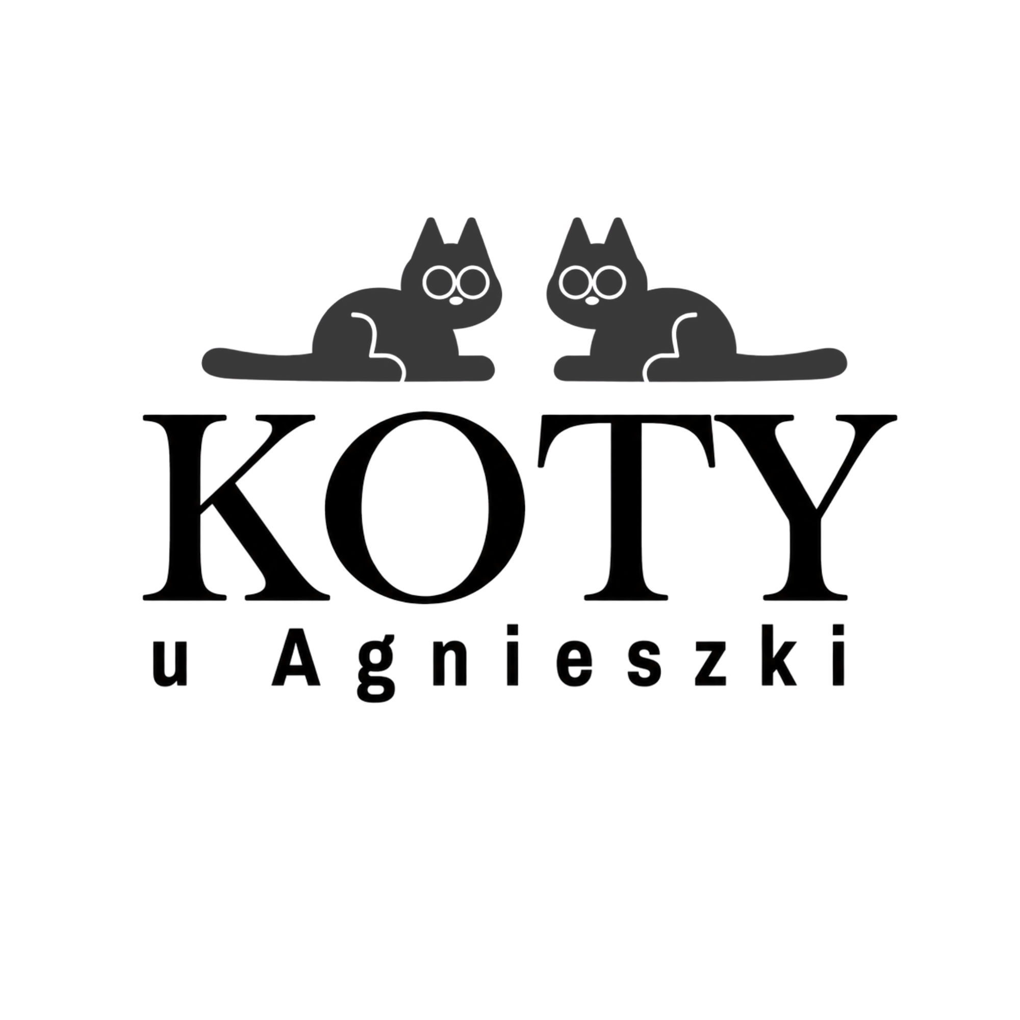 Koty u Agnieszki